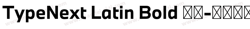 TypeNext Latin Bold 粗体字体转换
